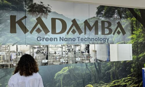 Nano Ayurvedic Care