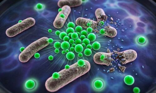 A major milestone in Herbal Nanomedicine: Creation of Highly Effective Anti-Viral Agent(s)